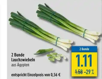 diska 2 Bunde Lauchzwiebeln Angebot