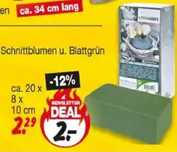 Repo Markt Schnittblumen u. Blattgrün Angebot
