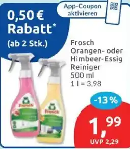 Budni Frosch Orangen- oder Himbeer-Essig Reiniger Angebot