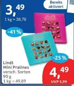 Budni Lindt Mini Pralines Angebot