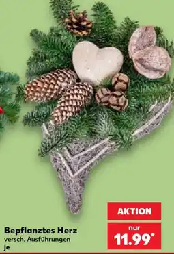 Kaufland Bepflanztes Herz Angebot