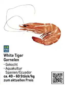 METRO White Tiger Garnelen Angebot