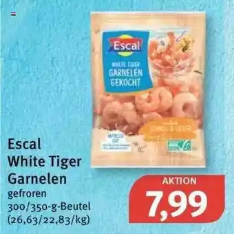 Feneberg Escal White Tiger Garnelen Angebot