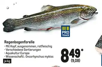 METRO Regenbogenforelle Angebot