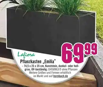 Hornbach Lafiora Pflanzkasten Emilia Angebot