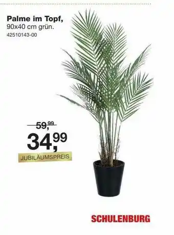 Möbel Schulenburg Palme Im Topf Angebot