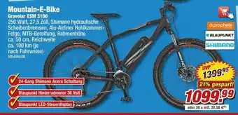 Poco Prophete, blaupunkt oder shimano mountain-e-bike Angebot