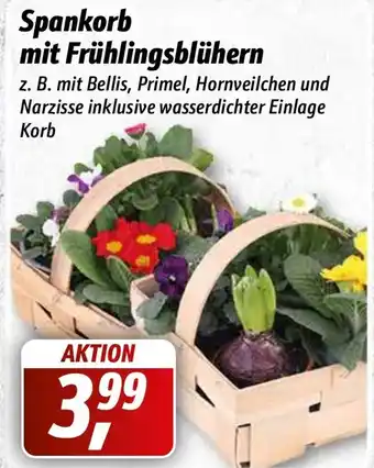 Simmel Spankorb mit Frühlingsblühern Angebot