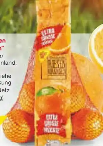 Netto Marken-Discount Orangen Riesen XXL Angebot