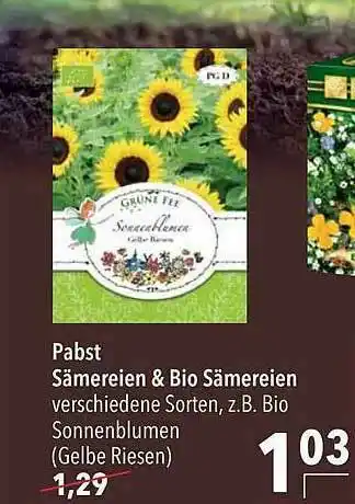 CITTI Markt Pabst Sämereien & Bio Sämereien Angebot