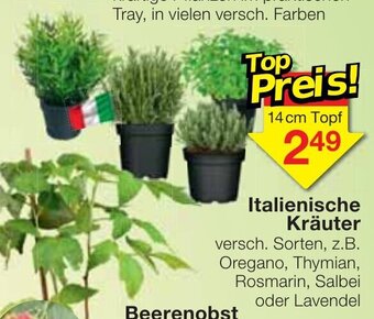 Jawoll Italienische Krauter Angebot