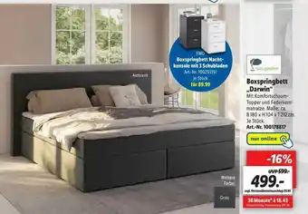 Lidl Sun Garden Boxspringbett „darwin“ Angebot