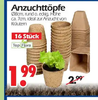 Wreesmann Anzuchttopfe 16 stuck Angebot