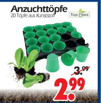 Wreesmann Anzuchttopfe 20 Topfe aus Kunststoff Angebot