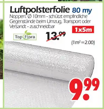 Wreesmann Luftpolsterfolie 80 my 1 x 5 m Angebot