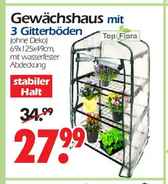 Wreesmann Gewachshaus mit 3 Gitterboden 69 x 125 x 49 cm Angebot