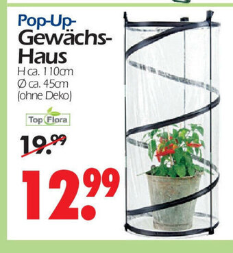 Wreesmann Pop-Up-Gewachs-Haus Angebot