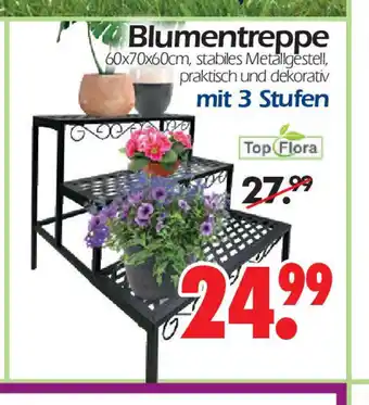 Wreesmann Blumentreppe mit 3 stufen Angebot