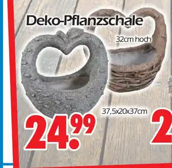 Wreesmann Deko-Pflanzschale 37,5 x 20 x 37 cm Angebot