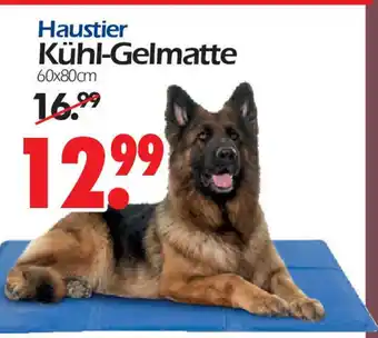 Wreesmann Haustier Kuhl-Gelmatte 60 x 80 cm Angebot