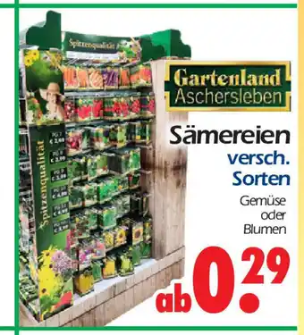 Wreesmann Samereien versch. Sorten Angebot