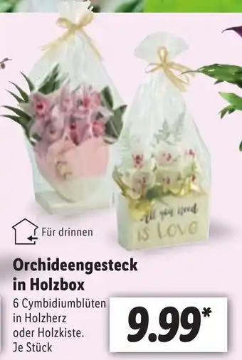 Lidl Orchideengesteck in holzbox Angebot