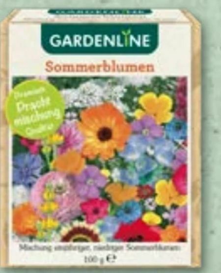 Blumen-Saatgut Angebot bei Aldi Nord