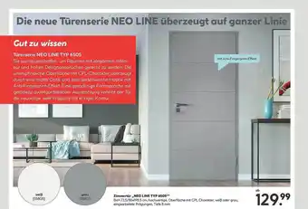 Hellweg Zimmertür Neo Line Typ 6505 Angebot