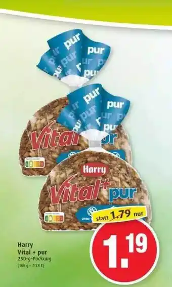 Markant Harry Vital = Pur Angebot