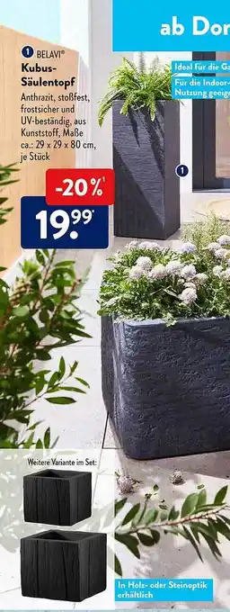 Aldi Süd Belavi Kubus-säulentopf Angebot