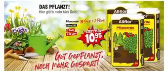 Repo Markt Allflor Pflanzerde Angebot