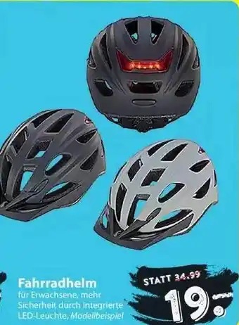 Famila Nord Ost Fahrradhelm Angebot