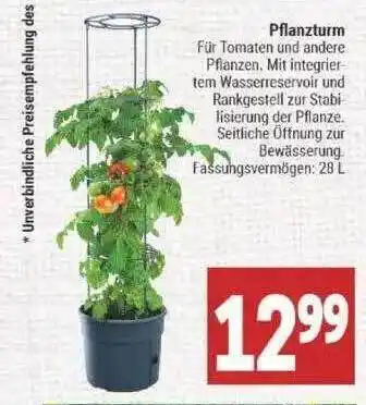 Marktkauf Pflanzturm Angebot