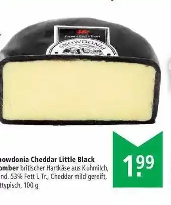 Marktkauf Snowdonia Cheddar Little Black Bomber Angebot