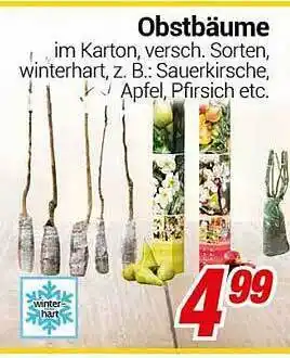 CENTERSHOP Obstbäume Angebot