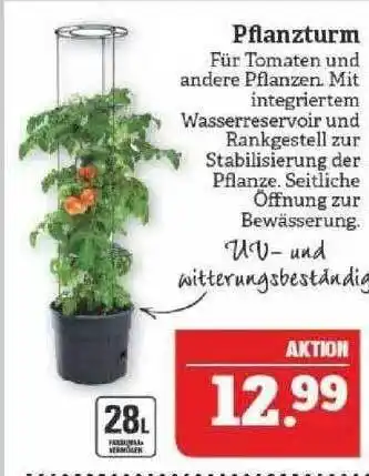 Marktkauf Pflanzturm Angebot