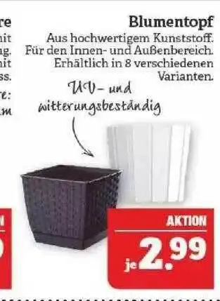 Marktkauf Blumentopf Angebot