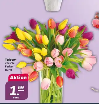 NETTO Tulpen Angebot