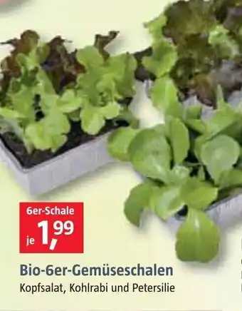 Bauhaus Bio 6er Gemüseschalen Angebot