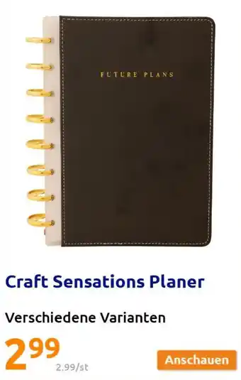 Action Craft Sensations Planer Angebot