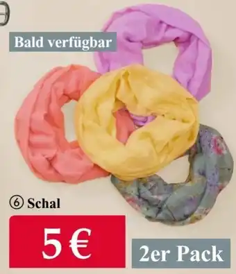 Woolworth Schal 2er Pack Angebot