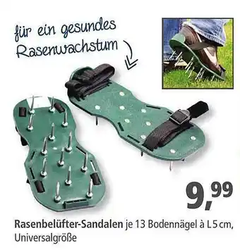 Pfennigpfeiffer Rasenbelüfter-sandalen Angebot