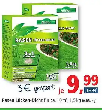 Pfennigpfeiffer Rasen Lücken-dicht Allflor Angebot