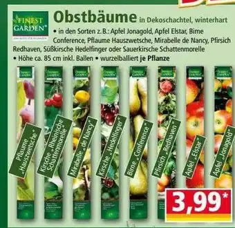 Norma Finest Garden Obstbäume Angebot