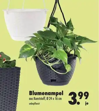 Mäc Geiz Blumenampel Angebot