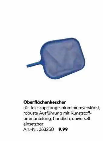 Hellweg Oberflächenkescher Angebot