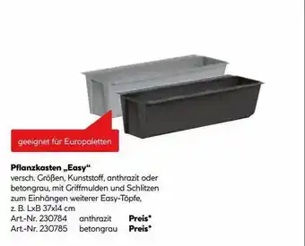 Hellweg Pflanzkasten „easy“ Angebot