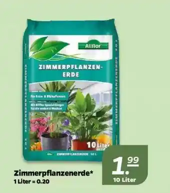 NETTO Zimmerpflanzenerde Allflor Angebot