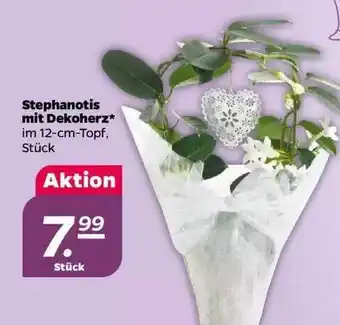 NETTO Stephanotis Mit Dekoherz Angebot