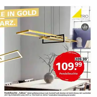 Segmüller Pendelleuchte „salinas” Angebot